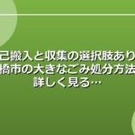 自己搬入と収集の選択肢あり！豊橋市の大きなごみ処分方法を詳しく見る