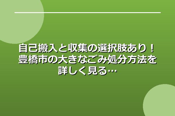 自己搬入と収集の選択肢あり！豊橋市の大きなごみ処分方法を詳しく見る
